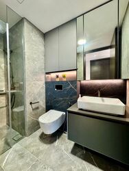 Irwell Hill Residences (D9), Apartment #451070881